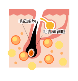 治療後