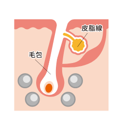 治療前