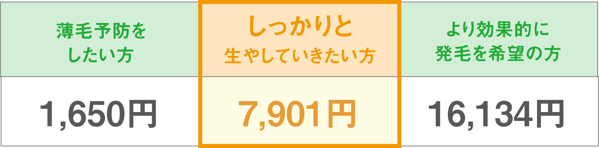 薄毛予防を したい方　しっかりと 生やしていきたい方　より効果的に 発毛を希望の方　内服　内服薬 +メソセラピー　内服薬+外服薬 +メソセラピー　効果　現状維持　発毛実感　即!発毛実感、　血液検査　有料　無料　無料　副作用　めまいなど　発赤・出血 ※針治療による　組み合わせによる　料金　1,500円~　15,000円 →8,380円~　最大 94%OFF　47,400円　最大 →16,380円~ 85%OFF
